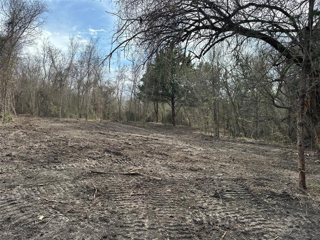 TBD Sandswitch Road - Photo 5