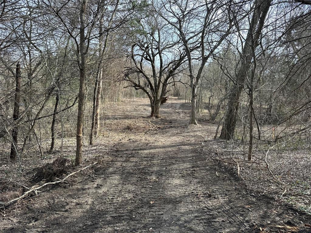 TBD Sandswitch Road - Photo 8