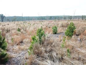 00 County Road 2845 - Photo 10