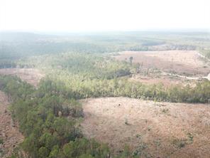 00 County Road 2845 - Photo 2