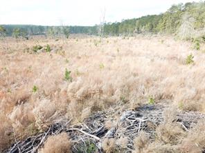 00 County Road 2845 - Photo 9