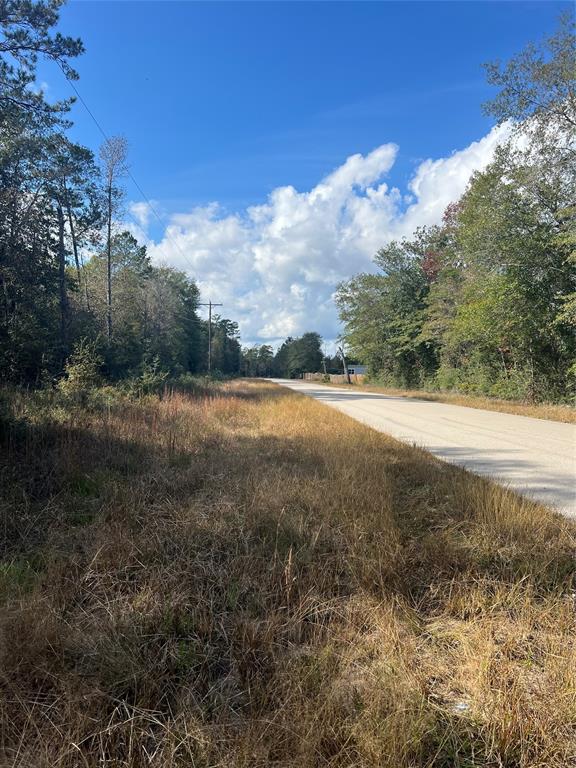 00 Gore Store Road - Photo 1