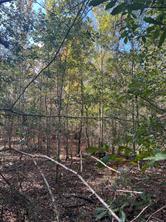 00 Gore Store Road - Photo 3