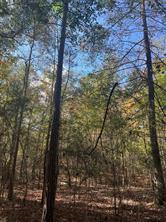 00 Gore Store Road - Photo 5