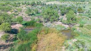 175 Acres Kimbrough Rd - Photo 15