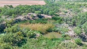 175 Acres Kimbrough Rd - Photo 16
