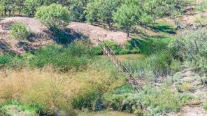 175 Acres Kimbrough Rd - Photo 17