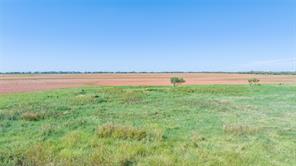 175 Acres Kimbrough Rd - Photo 33