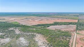 175 Acres Kimbrough Rd - Photo 7