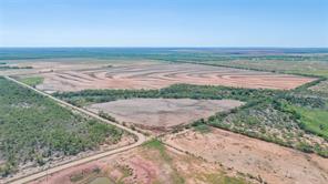 175 Acres Kimbrough Rd - Photo 8