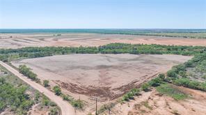 175 Acres Kimbrough Rd - Photo 9