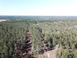 00 Hunting Lodge Road - Photo 11