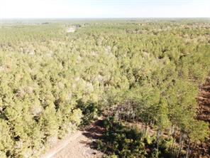 00 Hunting Lodge Road - Photo 4