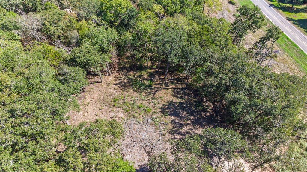 7280 FM 1567 Creek - Photo 11