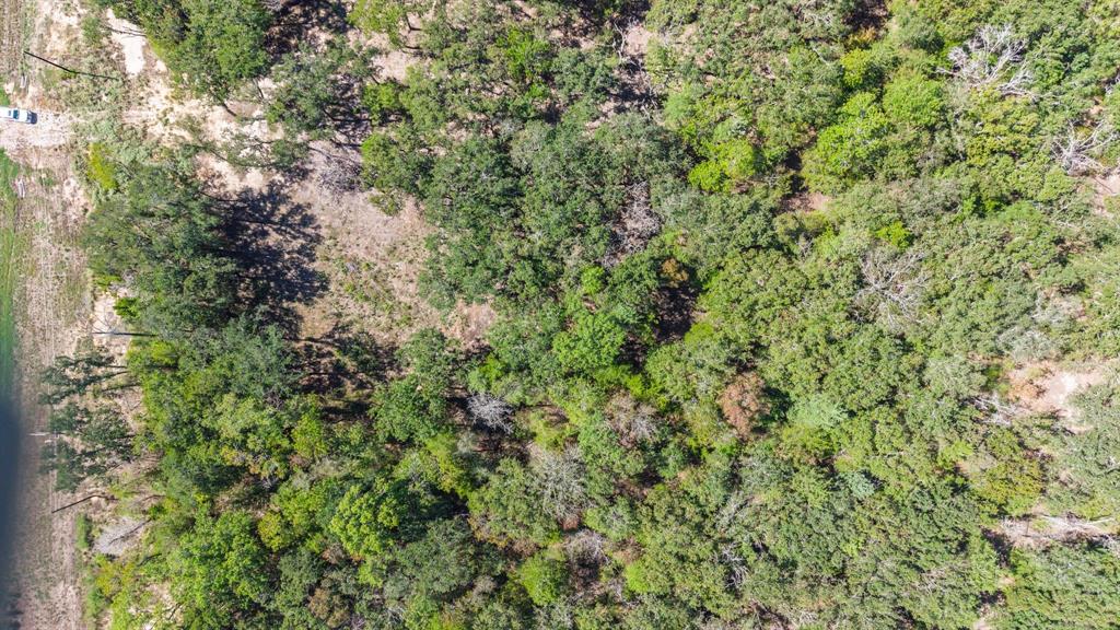 7280 FM 1567 Creek - Photo 16
