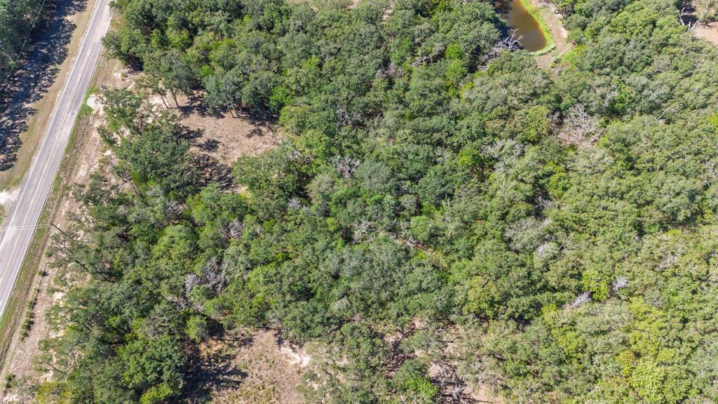 7280 FM 1567 Creek - Photo 18