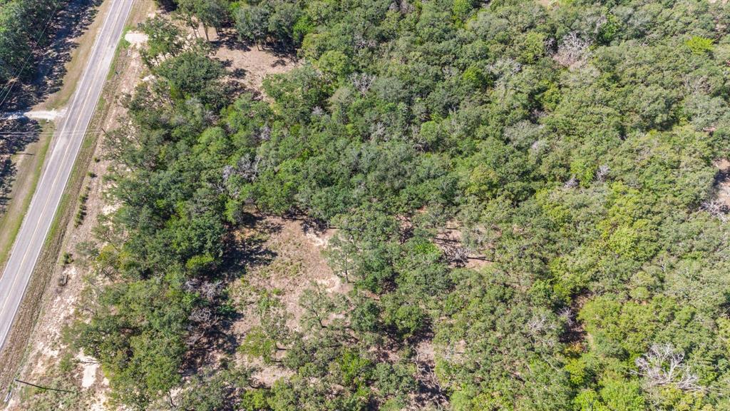 7280 FM 1567 Creek - Photo 19