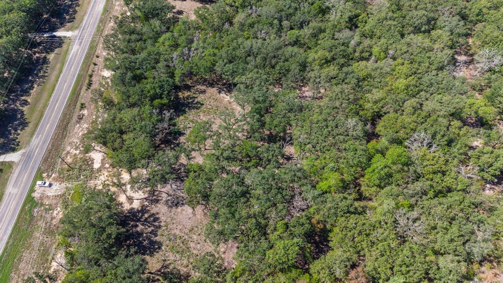 7280 FM 1567 Creek - Photo 20