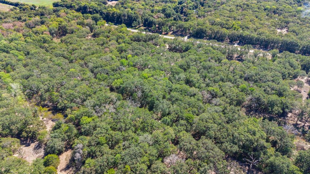 7280 FM 1567 Creek - Photo 26