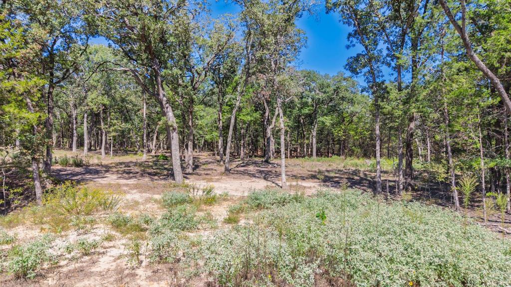 7280 FM 1567 Creek - Photo 4