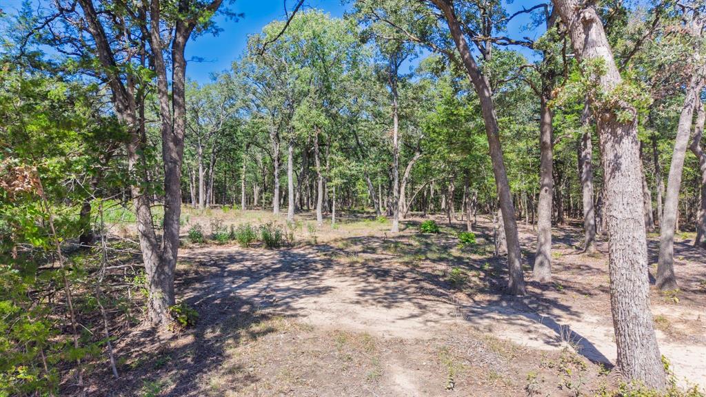 7280 FM 1567 Creek - Photo 5
