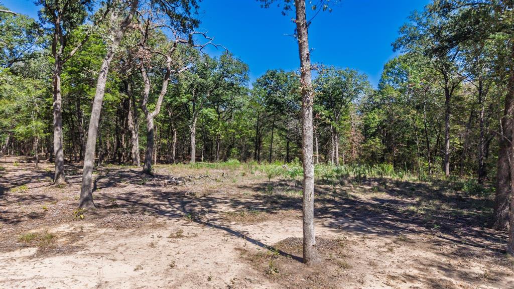 7280 FM 1567 Creek - Photo 6
