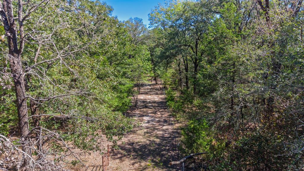 7280 FM 1567 Creek - Photo 7