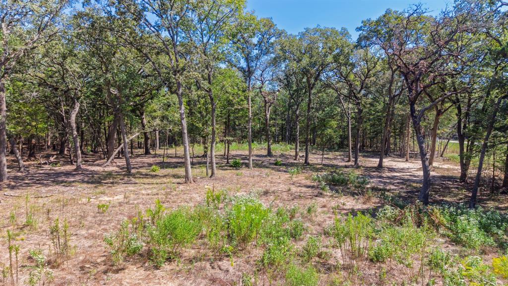 7280 FM 1567 Creek - Photo 8