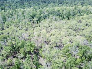 00 Indian Lake Road - Photo 10