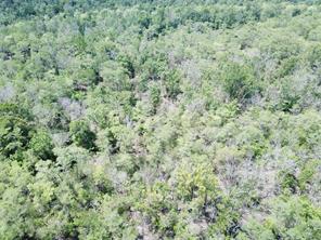 00 Indian Lake Road - Photo 8