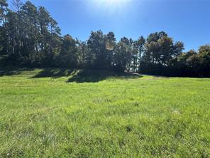 8289 ST HWY 155 - Photo 10
