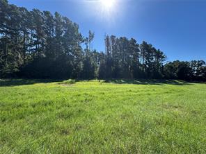 8289 ST HWY 155 - Photo 12