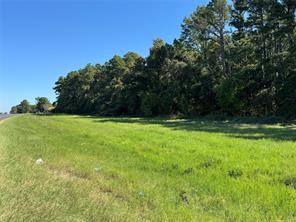 8289 ST HWY 155 - Photo 13