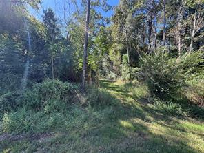 8289 ST HWY 155 - Photo 20