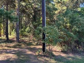 8289 ST HWY 155 - Photo 24