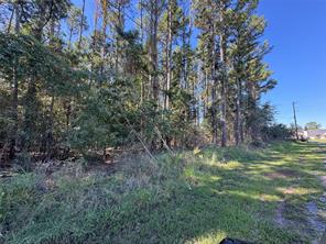 8289 ST HWY 155 - Photo 25