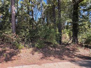 8289 ST HWY 155 - Photo 27