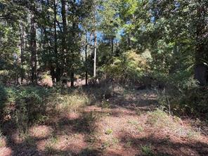 8289 ST HWY 155 - Photo 28