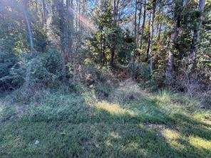 8289 ST HWY 155 - Photo 32