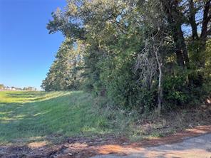 8289 ST HWY 155 - Photo 7
