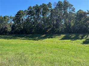 8289 ST HWY 155 - Photo 8