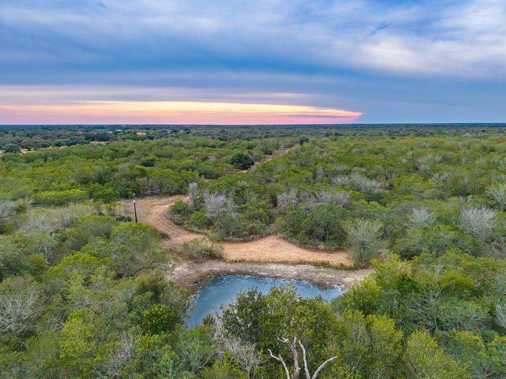 TBD County Road 408 - Photo 1