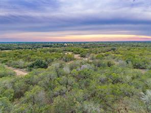 TBD County Road 408 - Photo 12