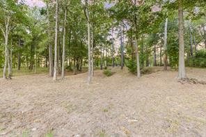 TBD Private Road 52416 Road - Photo 19