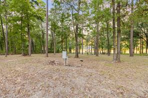 TBD Private Road 52416 Road - Photo 20