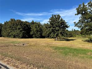 Lot 606 Clear Water CT - Photo 3