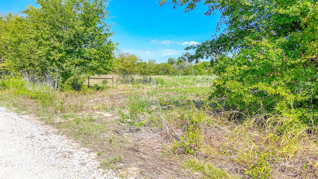 26.13AC SE County Road 2020 - Photo 10