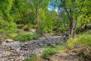 TBD Oakridge Trail - Photo 12
