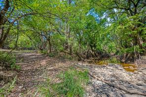 TBD Oakridge Trail - Photo 14