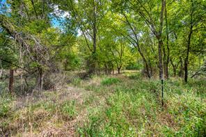TBD Oakridge Trail - Photo 15